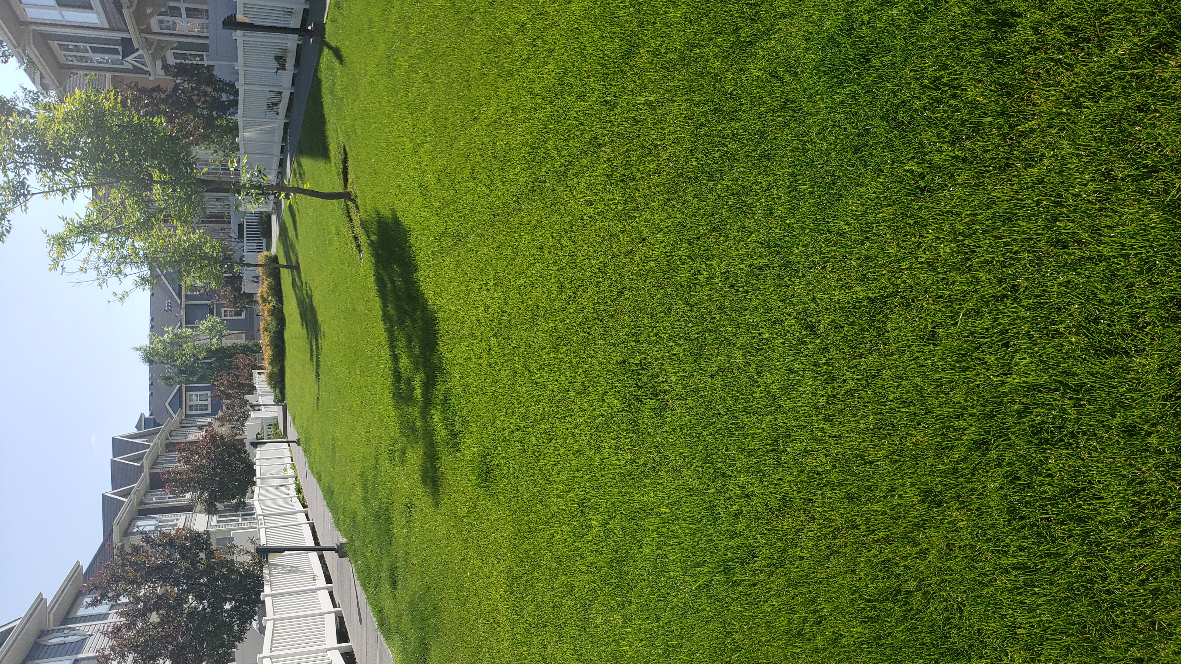Fertilizer and Top Dressing
